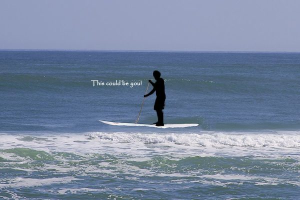 Stand Up PaddleBoard Rental - Image 3