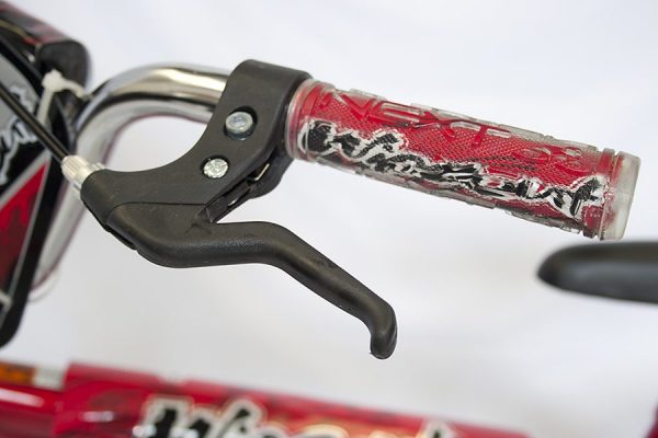 Child Bike Rental - Image 6