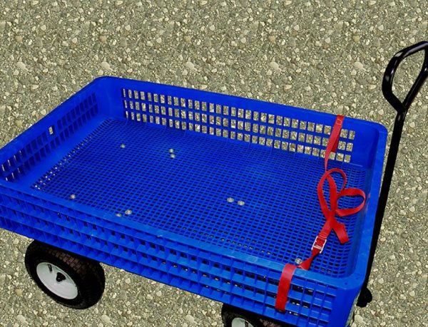 Beach Access Wagon Rental - Image 2