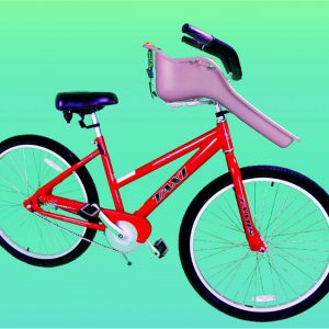 Adult Bike w/ Baby Seat Rental